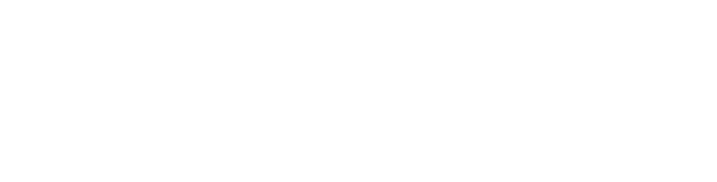 Logo White